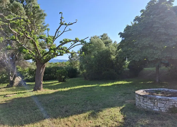 Appartement T2 Terrasse Climatise Piscine A T Florent *