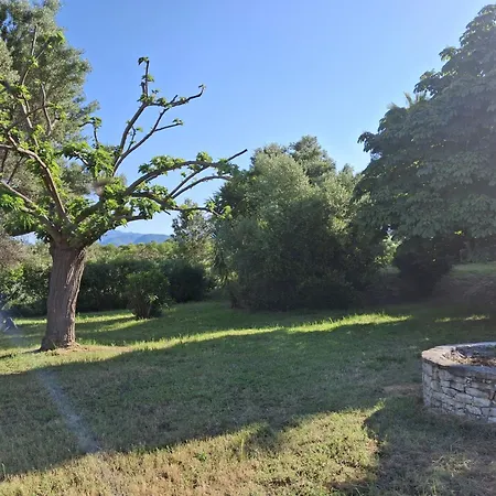 Apartament T2 Terrasse Climatise Piscine A T Florent *